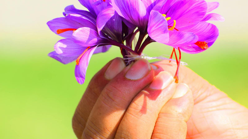 Saffron gift bottles and pairings featuring Raihan Afghan Super Negin saffron